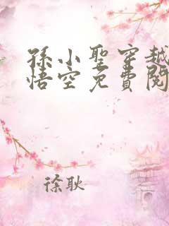 孙小圣穿越成孙悟空免费阅读