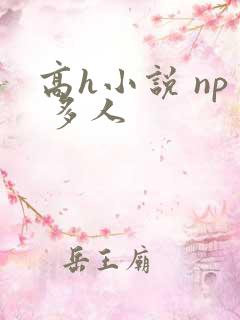 高h小说 np 多人