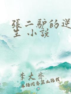 张二驴的逆袭人生 小说