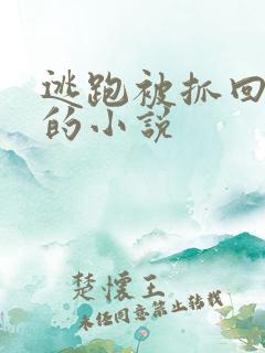 逃跑被抓回惩罚的小说