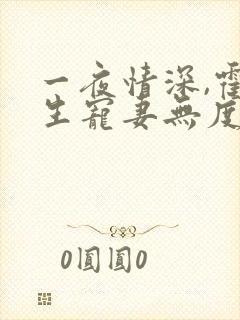 一夜情深,霍先生宠妻无度全集小说