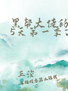 黑帮大佬的365天第一季高清免费