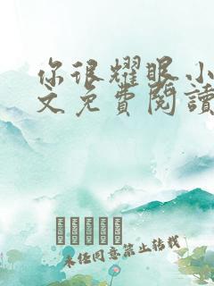 你很耀眼小说全文免费阅读