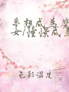 梦想成为魔法少女/憧憬成为魔法少女