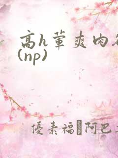 高h荤爽肉欲文(np)