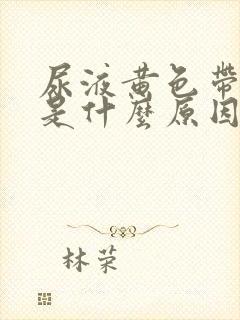 尿液黄色带泡沫是什么原因