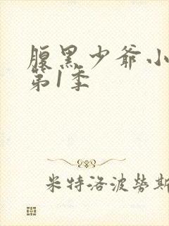 腹黑少爷小甜妻第1季