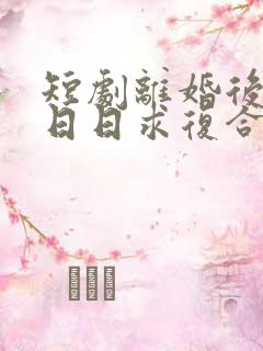 短剧离婚后前夫日日求复合免费观看