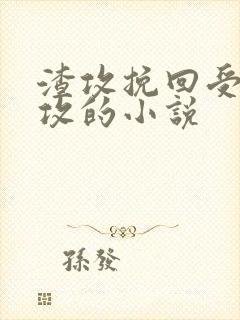 渣攻挽回受被反攻的小说