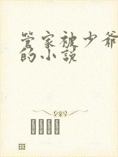 管家被少爷惩罚的小说