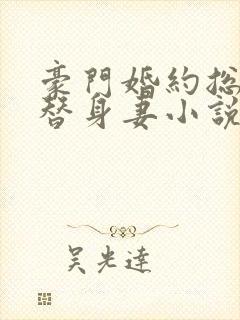 豪门婚约总裁的替身妻小说全文