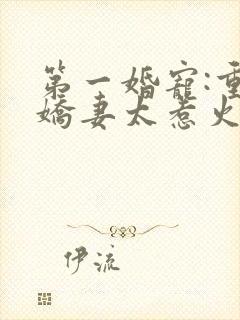 第一婚宠:重生娇妻太惹火