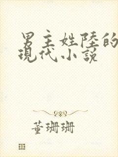 男主姓陆的全部现代小说