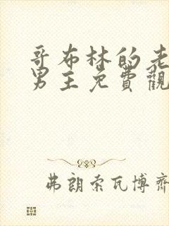 哥布林的老巢双男主免费观看动漫