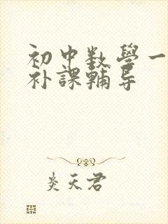 初中数学一对一补课辅导