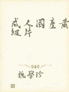 成人国产黄色一级片