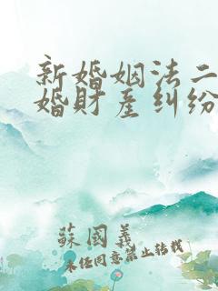 新婚姻法二婚离婚财产纠纷律师