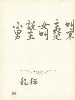 小说女主叫谢瑶男主叫楚寒穿越小说