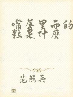 嘴唇里面的小颗粒是什么