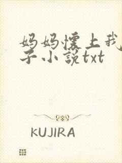 妈妈怀上我的孩子小说txt