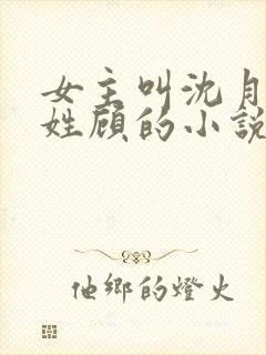 女主叫沈月男主姓顾的小说