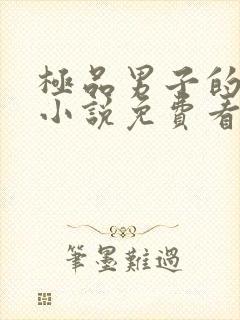 极品男子的公寓小说免费看