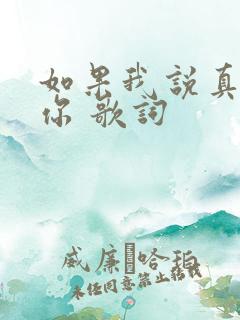 如果我说真的爱你 歌词