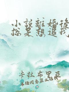 小说离婚后前夫总是想追我免费阅读