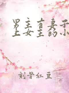 男主有妻子却爱上女主的小说