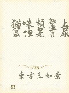 猫咪频繁上猫砂盆但是有尿