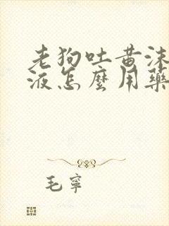 老狗吐黄沫子粘液怎么用药