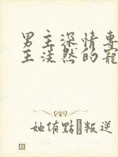 男主深情专一女主淡然的宠文