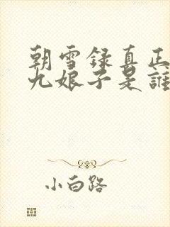 朝雪录真正的秦九娘子是谁