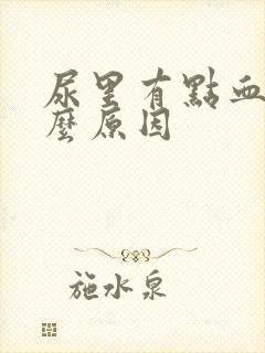 尿里有点血是什么原因