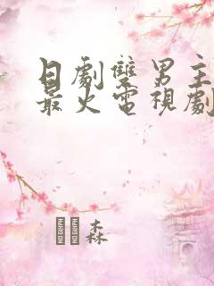 日剧双男主推荐最火电视剧