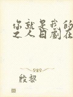 你就是我的命定之人日剧在线观看免费