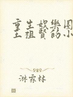 重生娱乐圈娶了王祖贤的小说