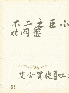 不二之臣小说txt网盘