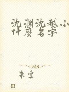 沈渊沈越小说叫什么名字