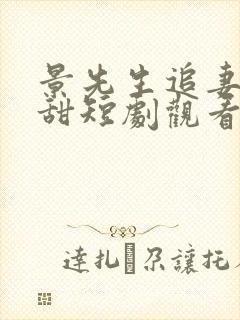 景先生追妻有点甜短剧观看完整版