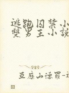 逃跑囚禁小少爷双男主小说推荐完结文