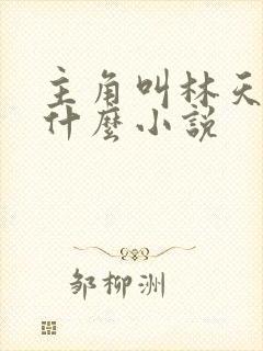 主角叫林天的叫什么小说