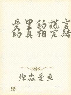 爱里的谎言仇恨的真相完结