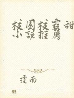 校园校霸甜宠文小说推荐