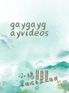 gaygaygayvideos