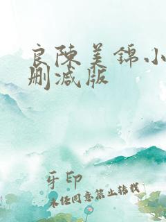 良陈美锦小说未删减版