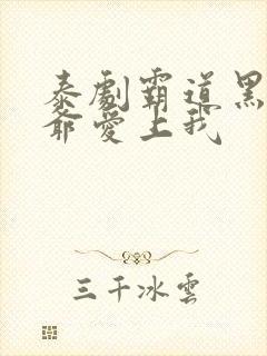 泰剧霸道黑帮少爷爱上我