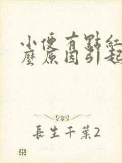 小便有点红色什么原因引起的女