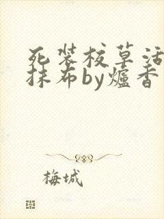 死装校草活该被抹布by炉香