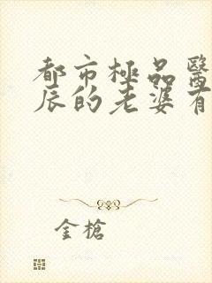 都市极品医神叶辰的老婆有几个